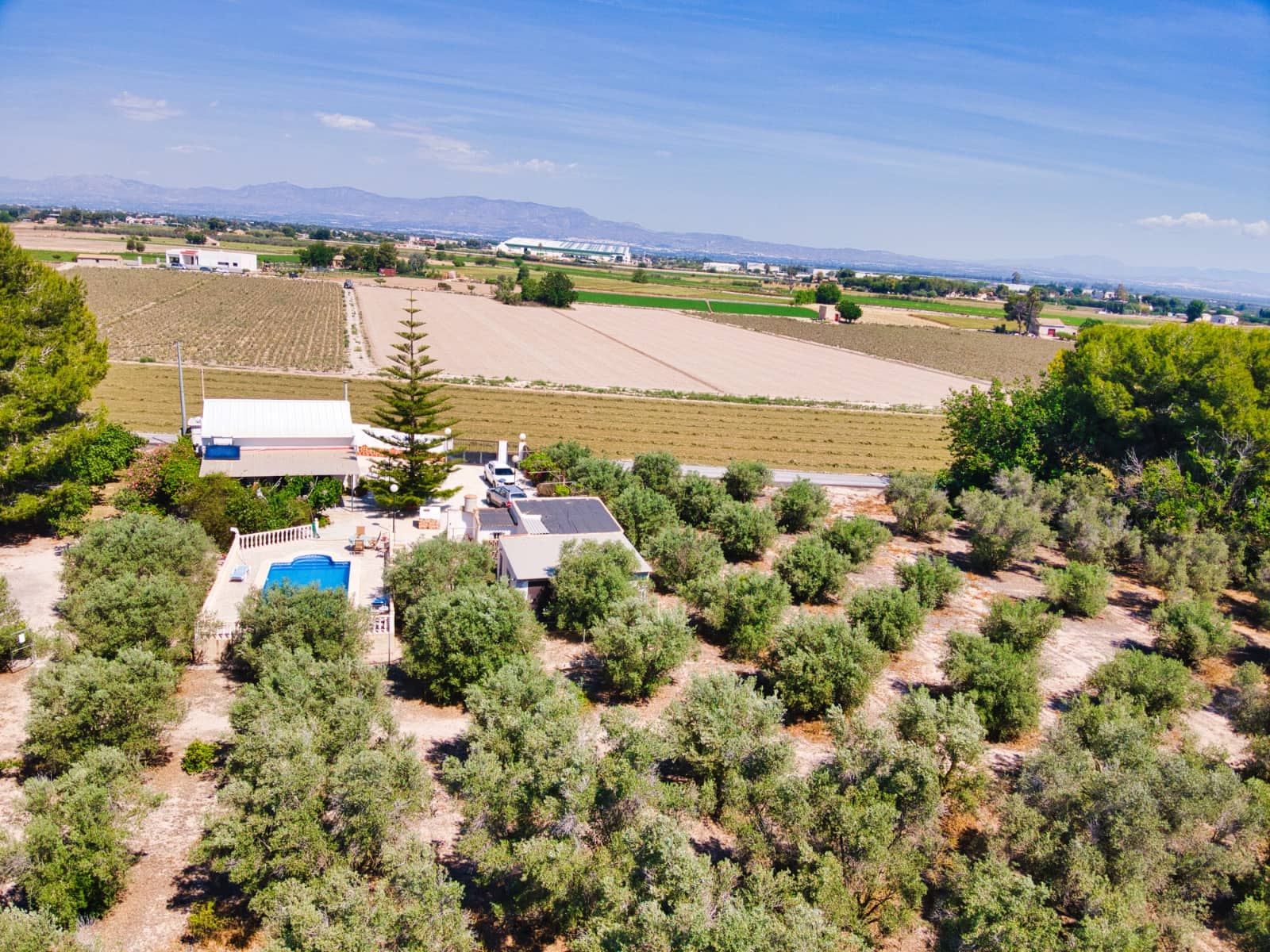 3 bedroom Finca/Country House for sale in Dolores with pool garage - € 495,000 (Ref: 9402422)