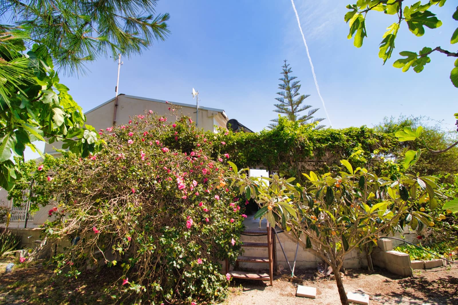 3 bedroom Finca/Country House for sale in Dolores with pool garage - € 495,000 (Ref: 9402422)