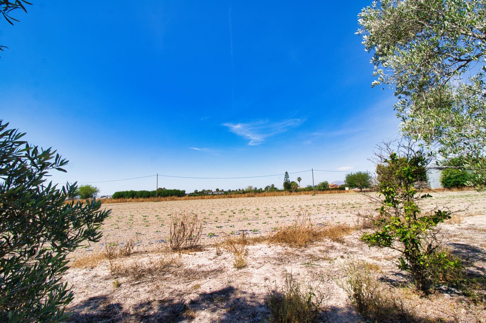 3 bedroom Finca/Country House for sale in Dolores with pool garage - € 495,000 (Ref: 9402422)