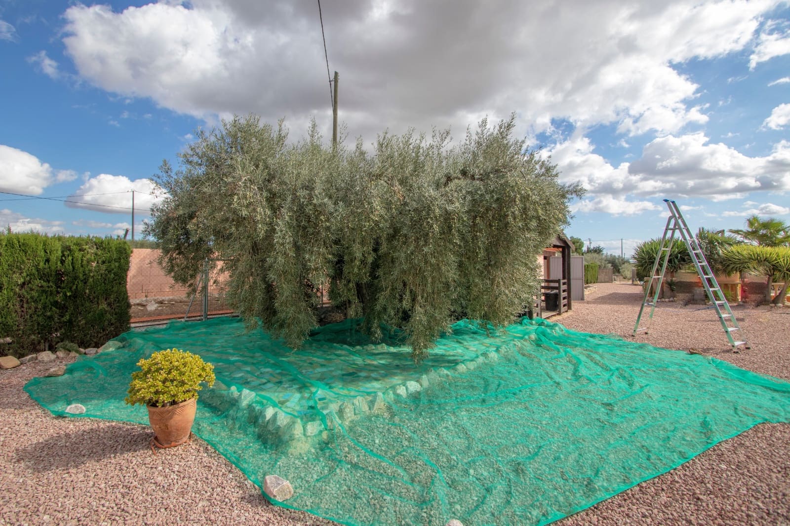 4 slaapkamer Finca/Landhuis te koop in Crevillente / Crevillent met zwembad garage - € 350.000 (Ref: 9402432)