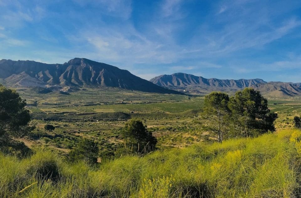 3 sypialnia Finka/Dom wiejski na sprzedaż w Miasto Alicante / Alacant z basenem garażem - 339 000 € (Ref: 9402433)