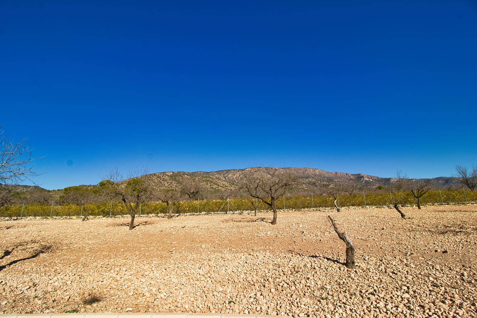 4 quarto Quinta/Casa Rural para venda em Pinoso com piscina garagem - 475 000 € (Ref: 9414925)