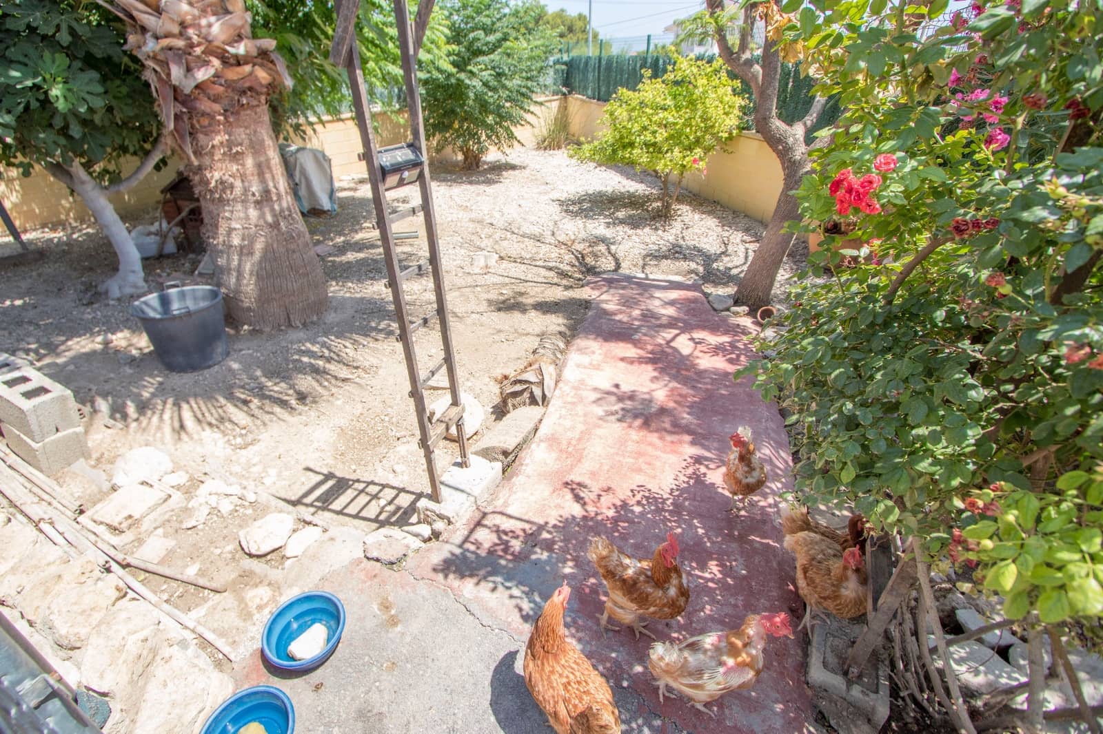 4 quarto Quinta/Casa Rural para venda em Alicante cidade com piscina garagem - 415 000 € (Ref: 9426356)