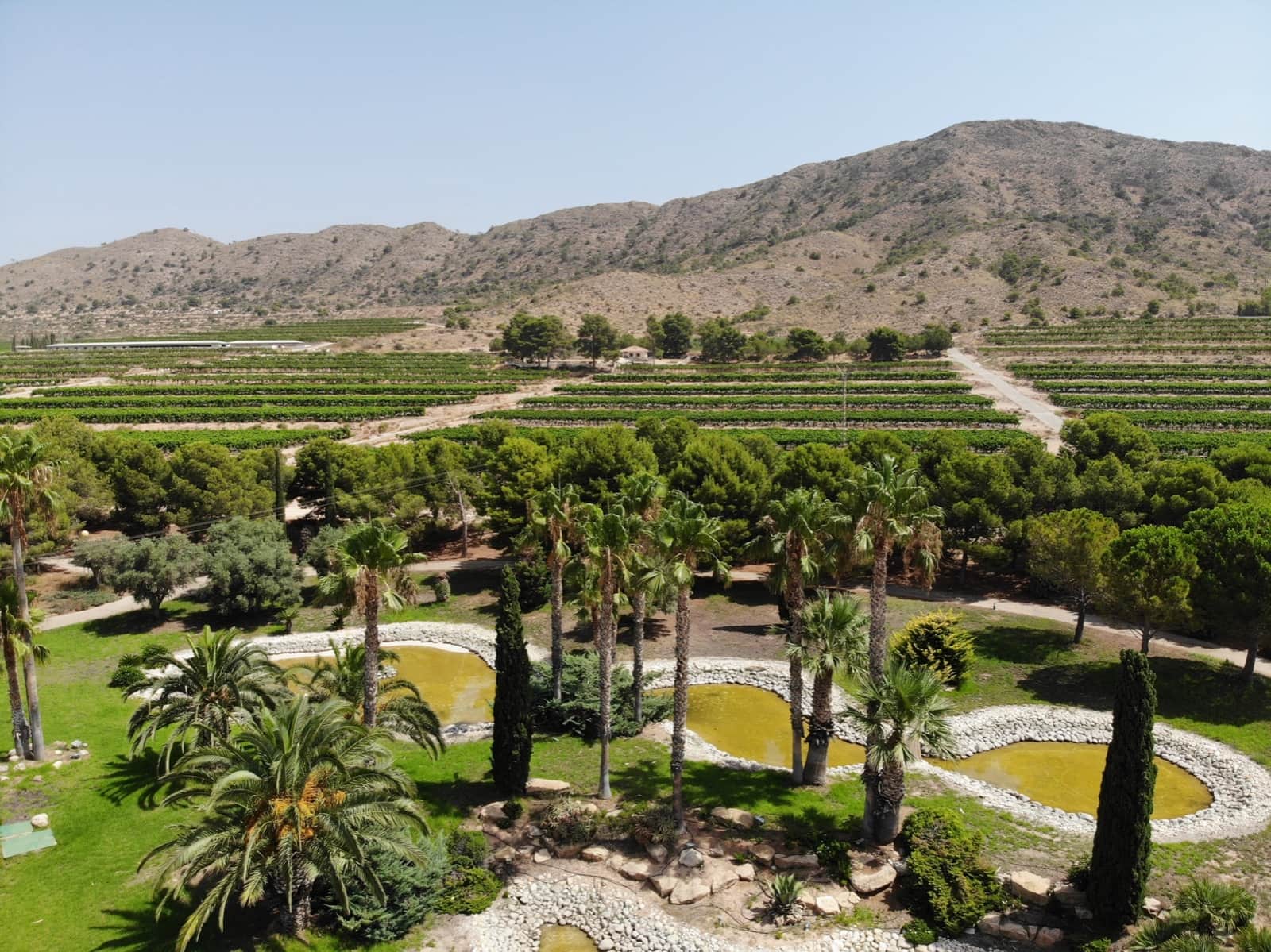 8 soverom Finca/Herregård til salgs i Alicante by med svømmebasseng garasje - € 6 000 000 (Ref: 9434569)