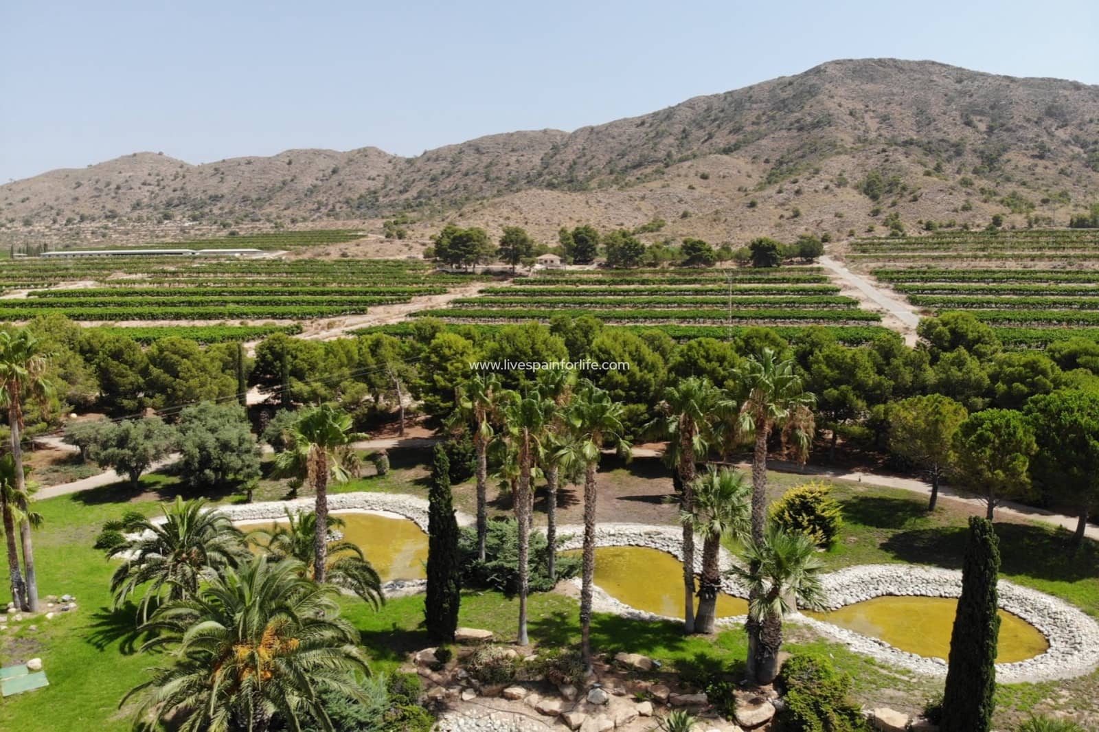 8 soverom Finca/Herregård til salgs i Alicante by med svømmebasseng garasje - € 6 000 000 (Ref: 9434569)