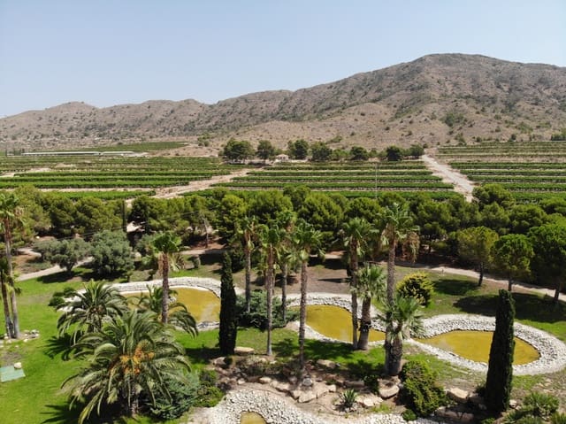 8 bedroom Business for sale in Novelda with pool garage - € 6,000,000 (Ref: 9434571)