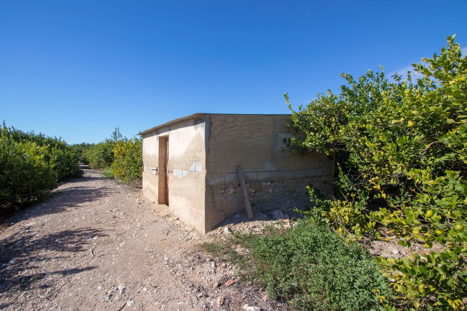 4 soveværelse Finca/Landehus til salg i Albatera med swimmingpool - € 450.000 (Ref: 9434576)