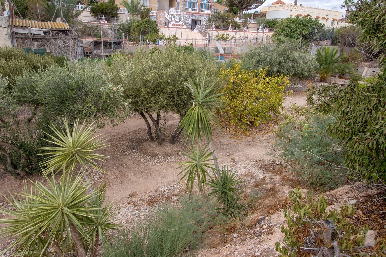 7 bedroom Finca/Country House for sale in Albatera with pool garage - € 390,000 (Ref: 9436151)