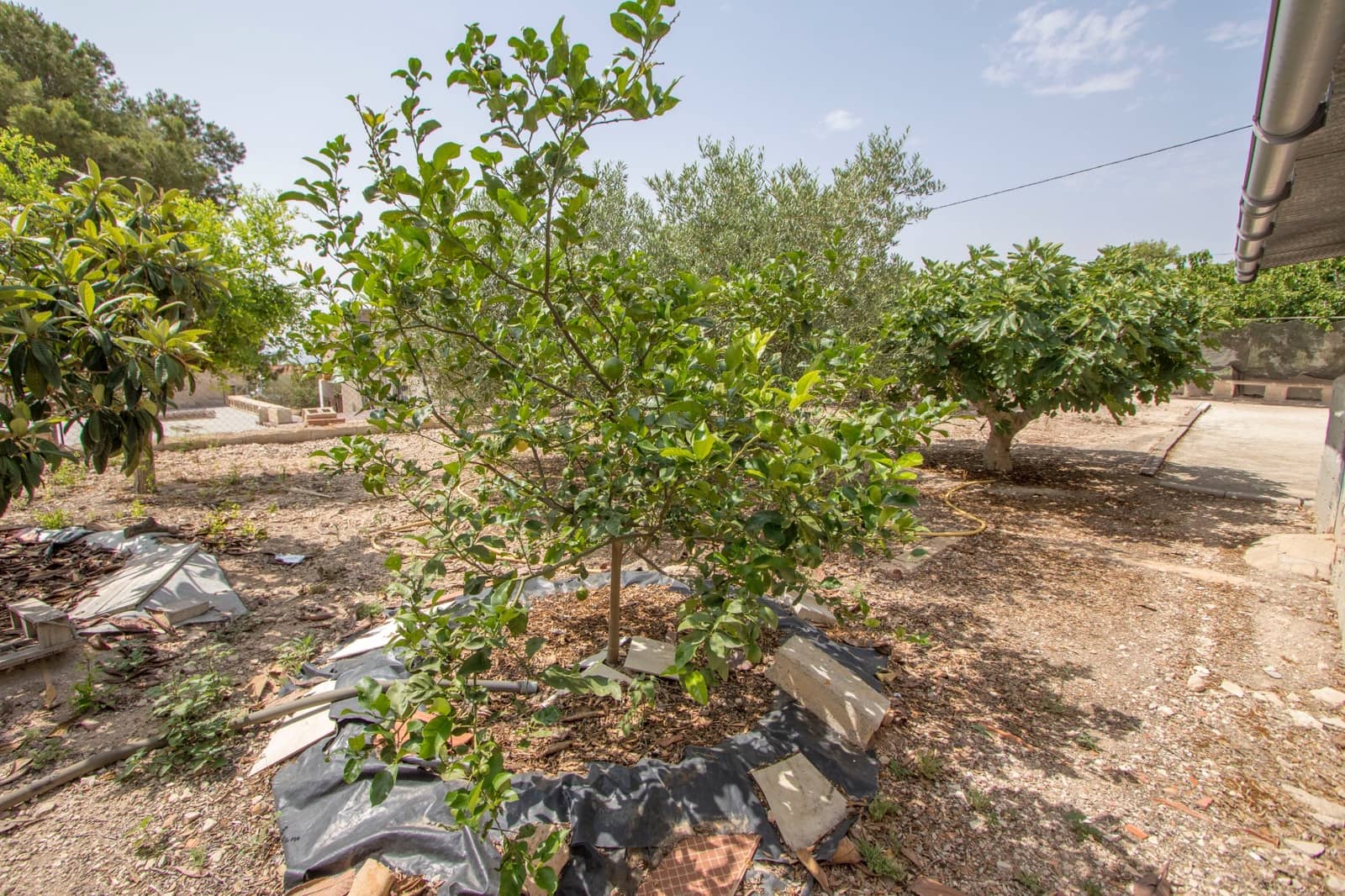 3 camera da letto Finca/Casa di Campagna in vendita in Albatera con piscina garage - 260.000 € (Rif: 9436157)