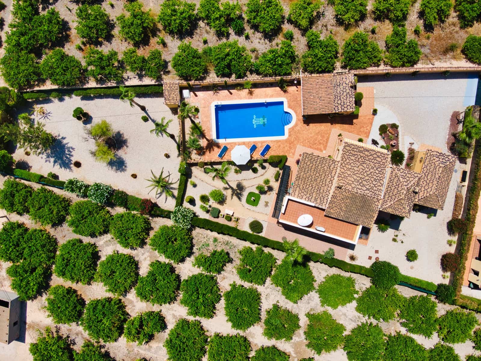 4 slaapkamer Finca/Landhuis te koop in Orihuela met zwembad garage - € 399.500 (Ref: 9436164)