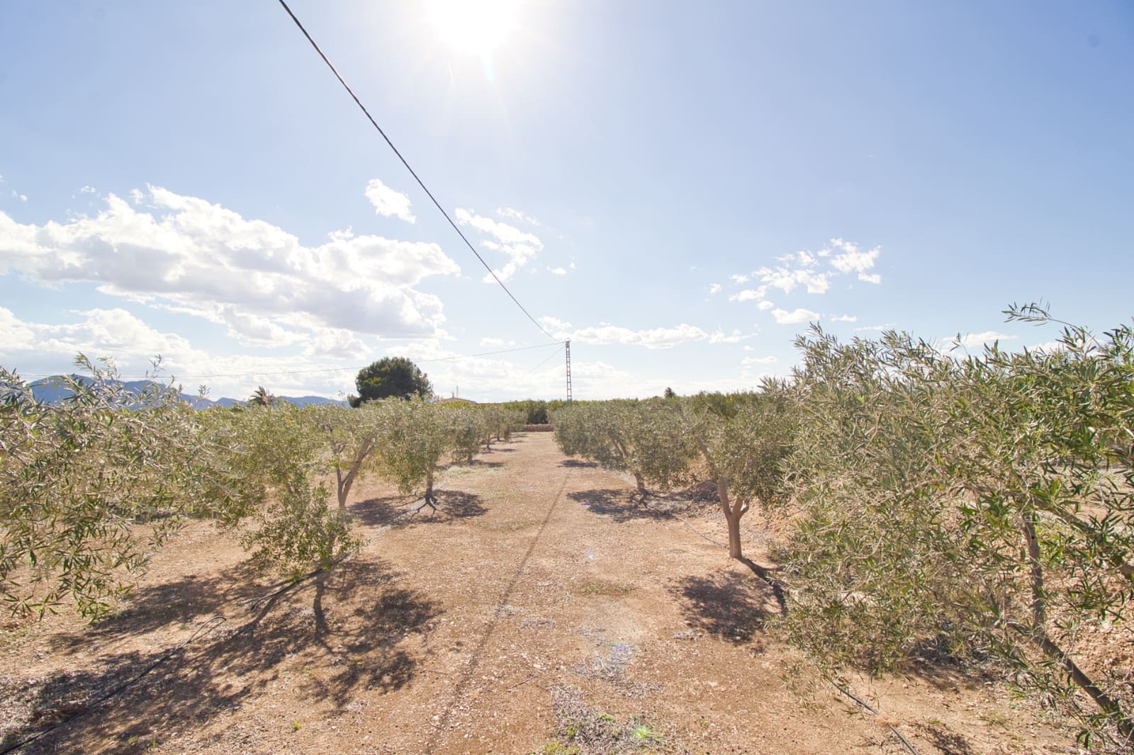 1 bedroom Finca/Country House for sale in Albatera with pool garage - € 140,000 (Ref: 9436170)