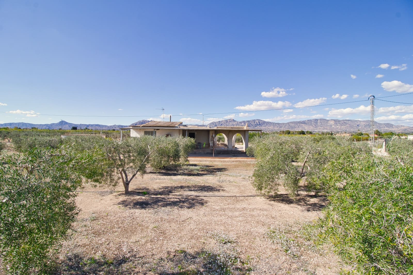 1 bedroom Finca/Country House for sale in Albatera with pool garage - € 130,000 (Ref: 9480577)