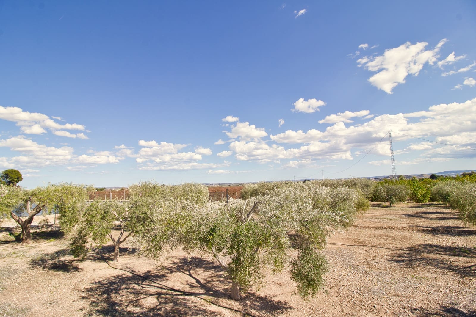 1 soveværelse Finca/Landehus til salg i Alicante by med swimmingpool garage - € 130.000 (Ref: 9480578)