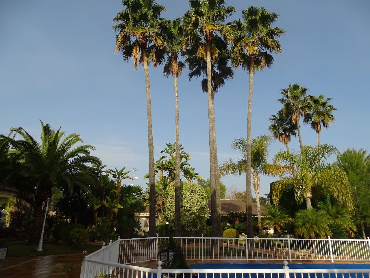 7 soveværelse Finca/Landehus til salg i Santa Pola med swimmingpool garage - € 2.100.000 (Ref: 9489764)