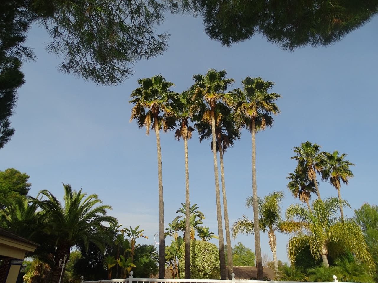 7 soveværelse Finca/Landehus til salg i Santa Pola med swimmingpool garage - € 2.100.000 (Ref: 9489764)