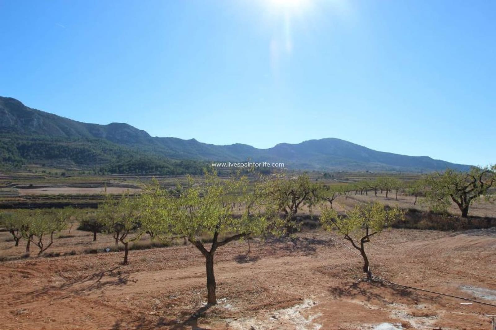 4 bedroom Villa for sale in Hondon de las Nieves with pool garage - € 350,000 (Ref: 9489772)