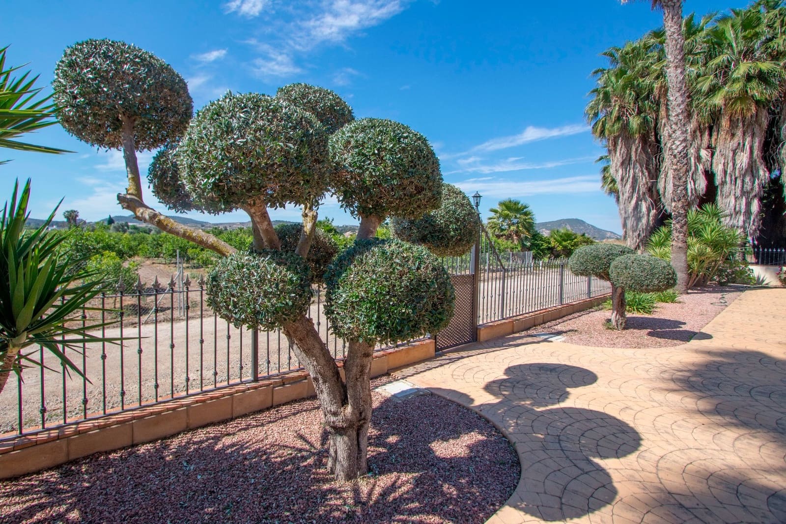 5 chambre Finca/Maison de Campagne à vendre à Bigastro avec piscine - 595 000 € (Ref: 9500929)