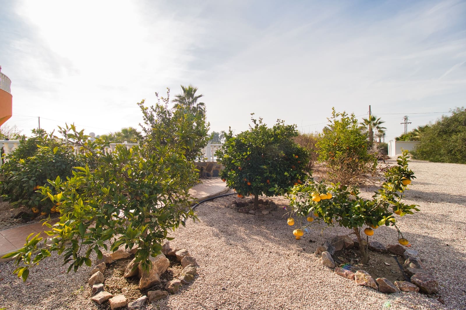 3 chambre Finca/Maison de Campagne à vendre à Catral avec piscine garage - 399 000 € (Ref: 9506415)