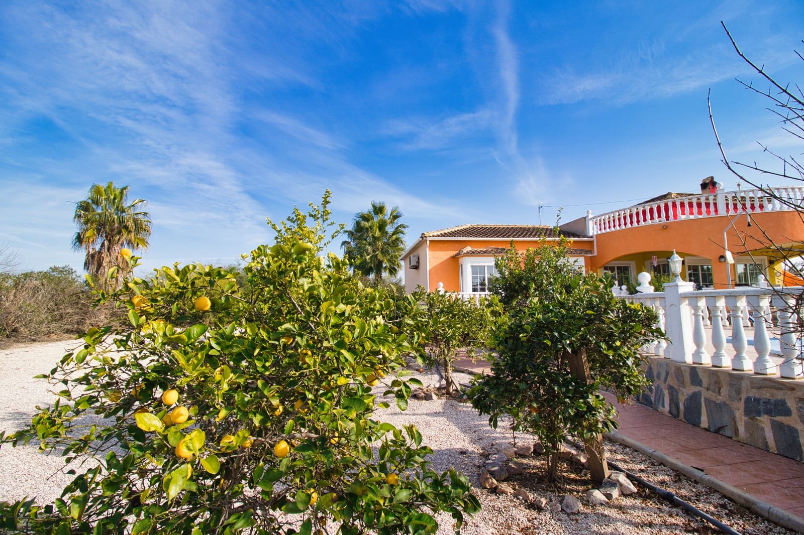 3 chambre Finca/Maison de Campagne à vendre à Catral avec piscine garage - 399 000 € (Ref: 9506415)