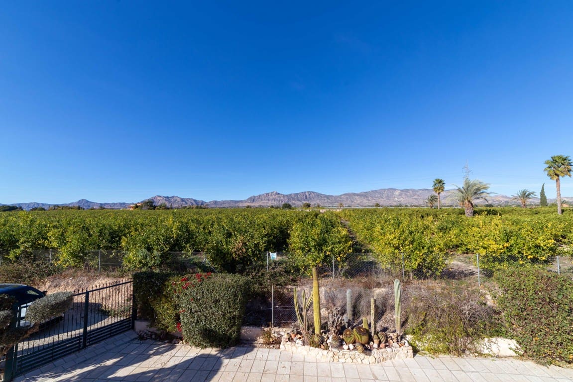 3 soverom Finca/Herregård til salgs i Alicante by med svømmebasseng - € 330 000 (Ref: 9506558)