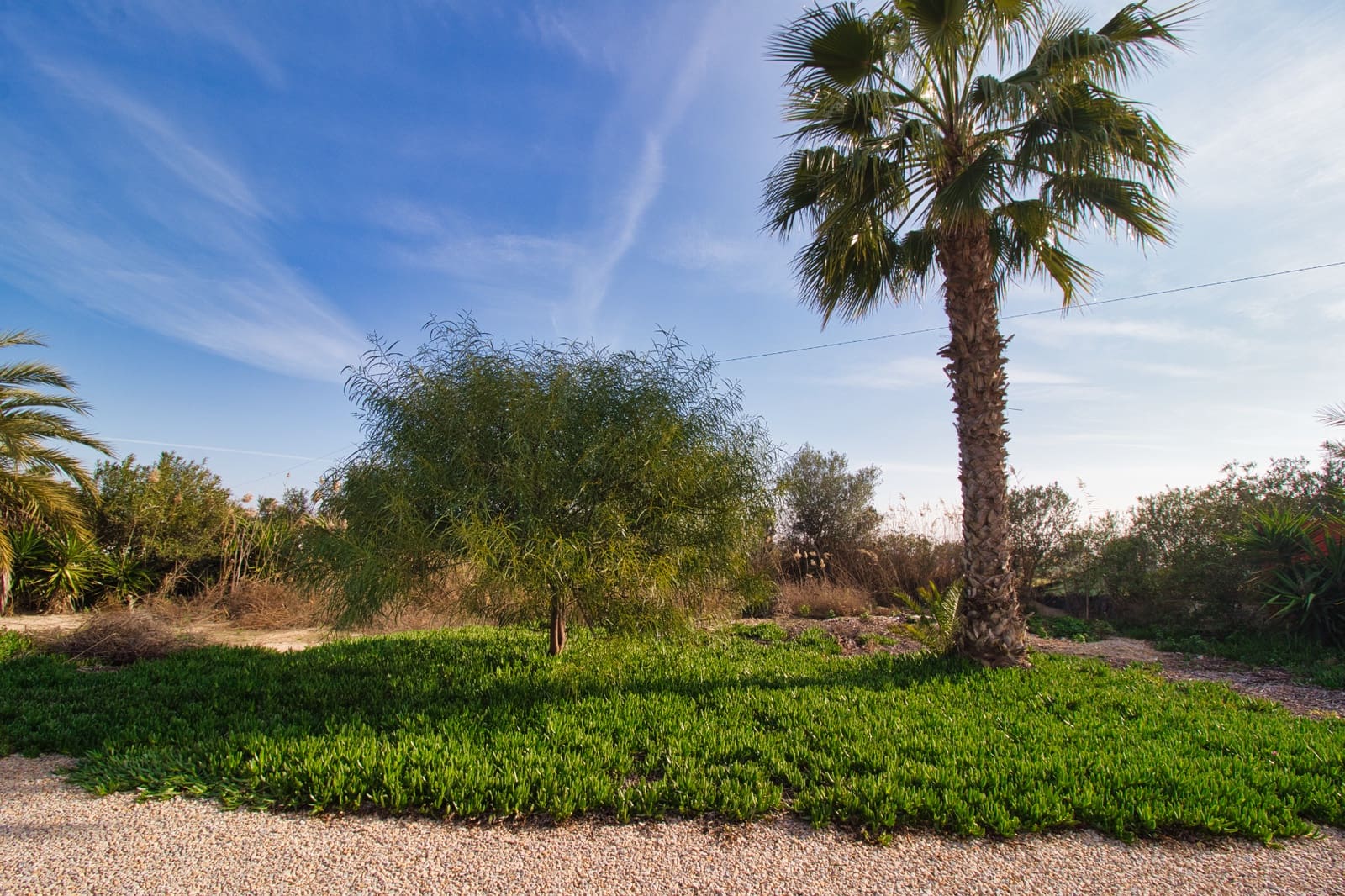 3 sypialnia Finka/Dom wiejski na sprzedaż w Catral z basenem garażem - 399 000 € (Ref: 9506562)