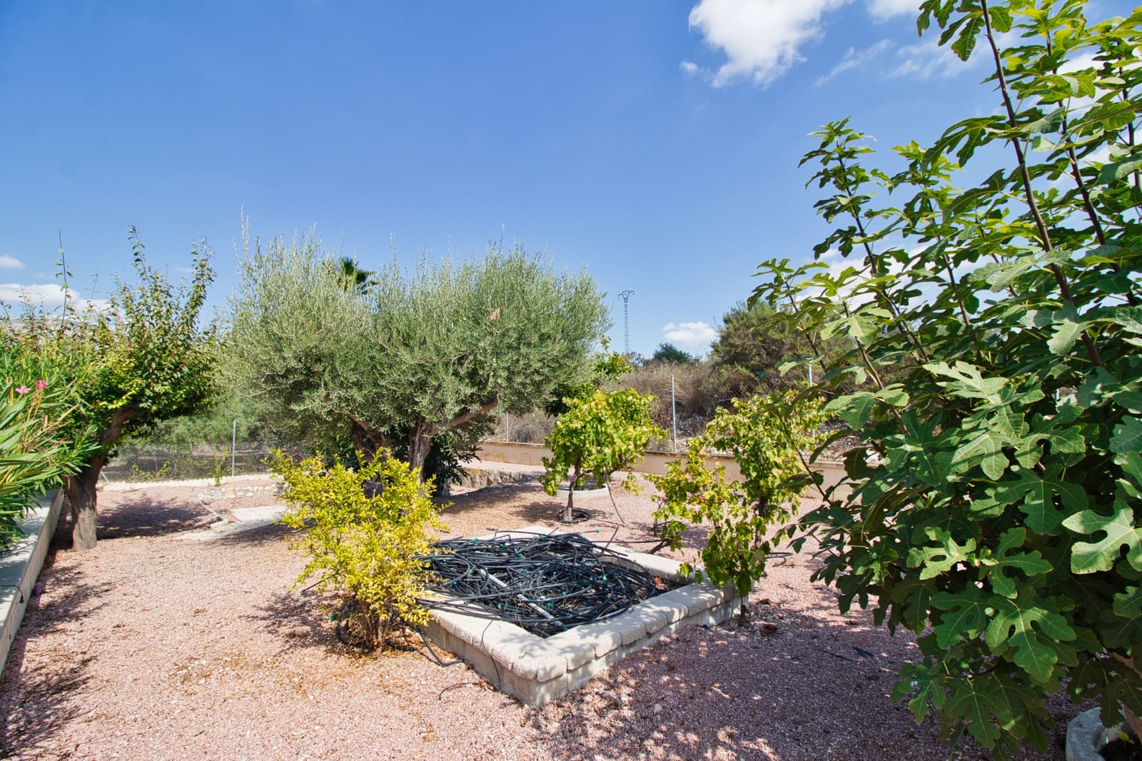 3 quarto Quinta/Casa Rural para venda em Albatera com piscina garagem - 379 995 € (Ref: 9525057)