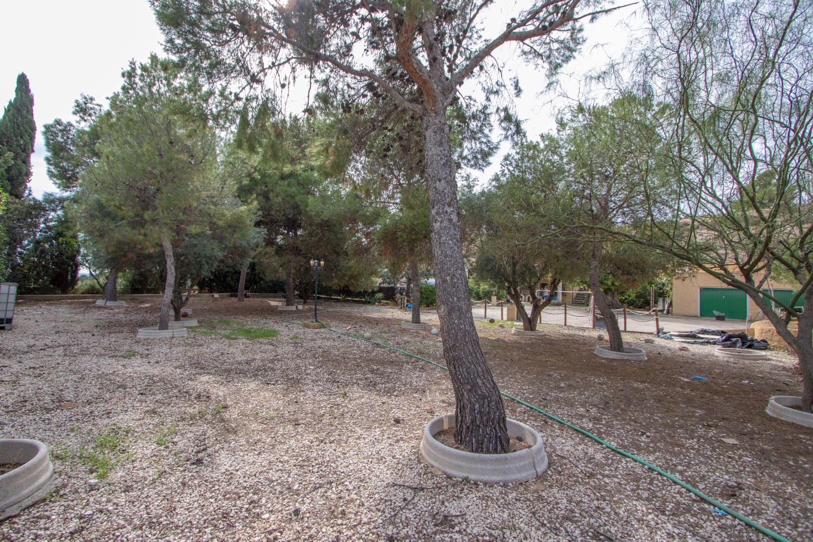 2 sovrum Finca/Hus på landet till salu i Crevillente / Crevillent med garage - 290 000 € (Ref: 9528747)