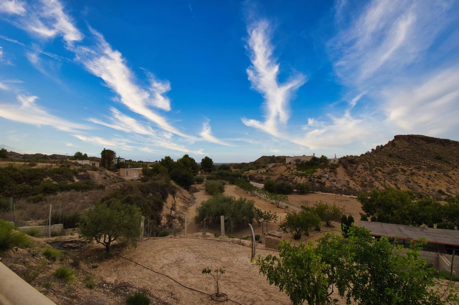 Finca/Casa Rural de 5 habitaciones en Crevillente / Crevillent en venta con piscina garaje - 419.000 € (Ref: 9537697)