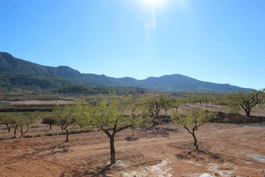 4 sypialnia Willa na sprzedaż w Elche / Elx z basenem - 350 000 € (Ref: 9546936)