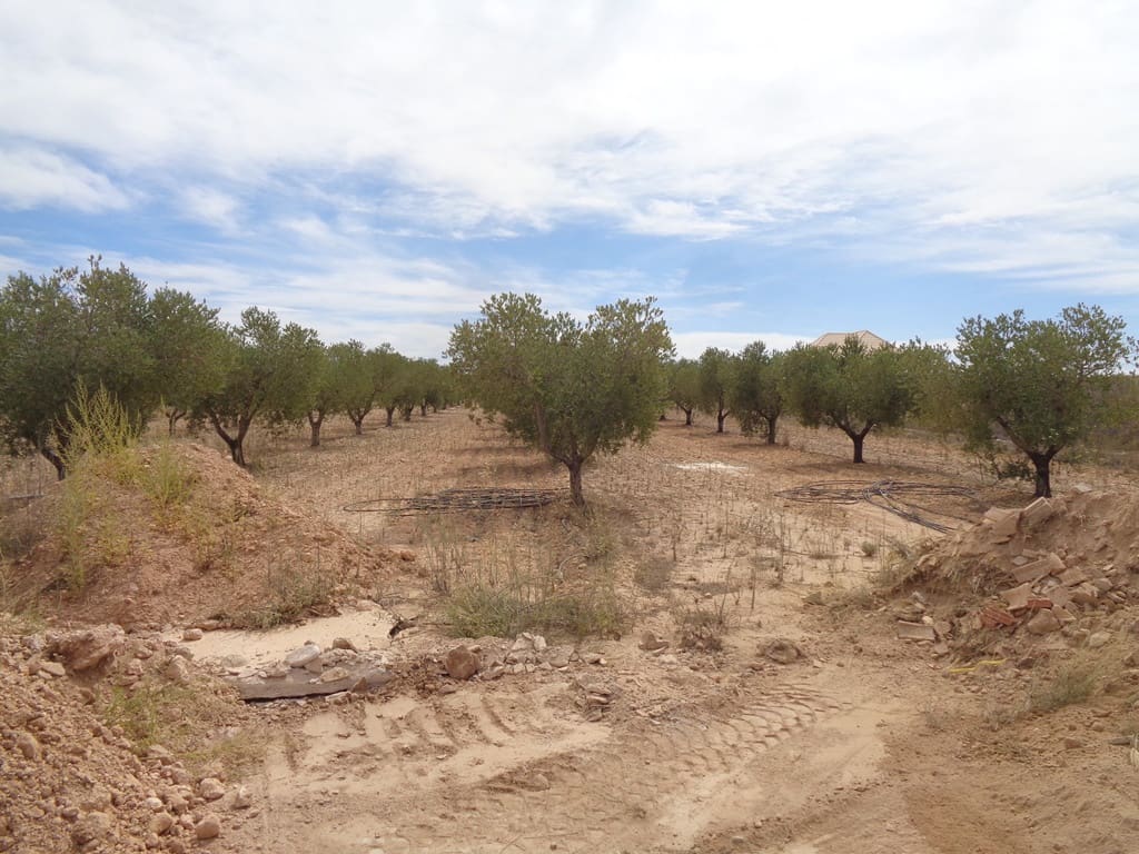 Finca/Casa Rural de 4 habitaciones en Pinoso en venta con piscina - 399.000 € (Ref: 9549876)