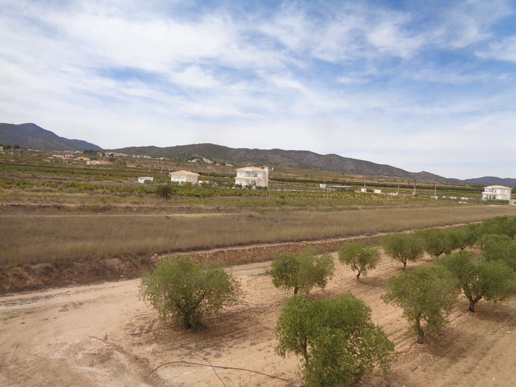 Finca/Casa Rural de 4 habitaciones en Pinoso en venta con piscina - 399.000 € (Ref: 9549876)