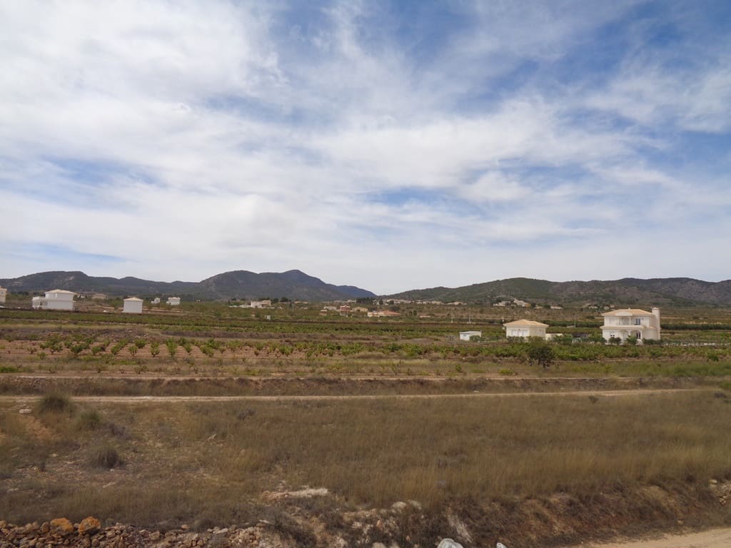 Finca/Casa Rural de 4 habitaciones en Pinoso en venta con piscina - 399.000 € (Ref: 9549876)
