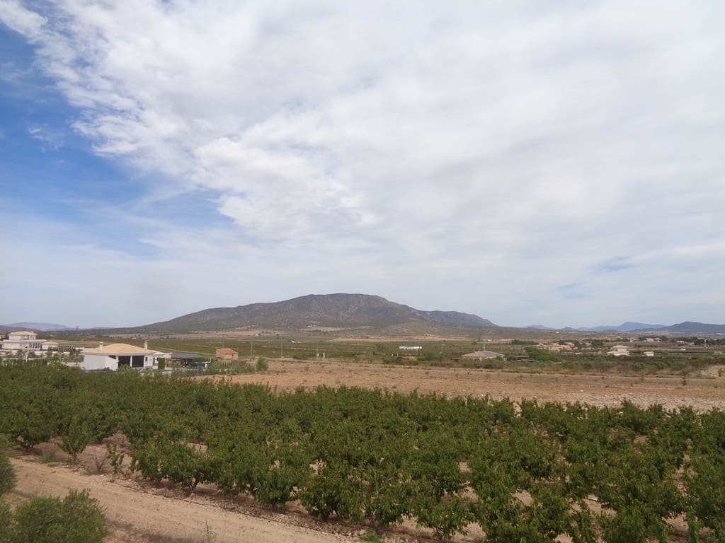 Finca/Casa Rural de 4 habitaciones en Pinoso en venta con piscina - 399.000 € (Ref: 9549876)