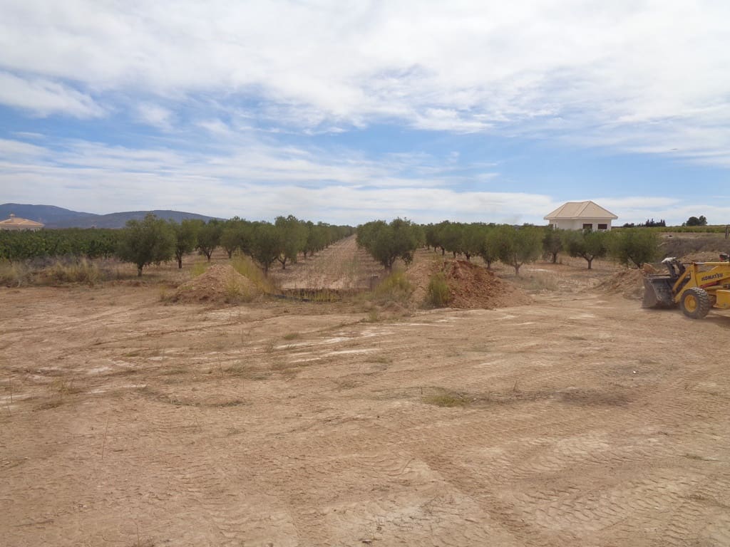 Finca/Casa Rural de 4 habitaciones en Pinoso en venta con piscina - 399.000 € (Ref: 9549876)