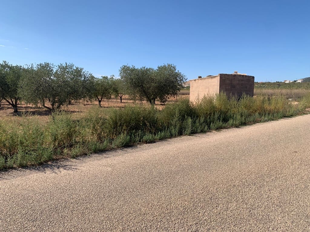 Finca/Casa Rural de 4 habitaciones en Pinoso en venta con piscina - 399.000 € (Ref: 9549876)