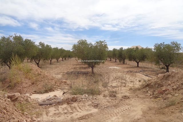 4 camera da letto Finca/Casa di Campagna in vendita in Pinoso con piscina - 399.000 € (Rif: 9549876)