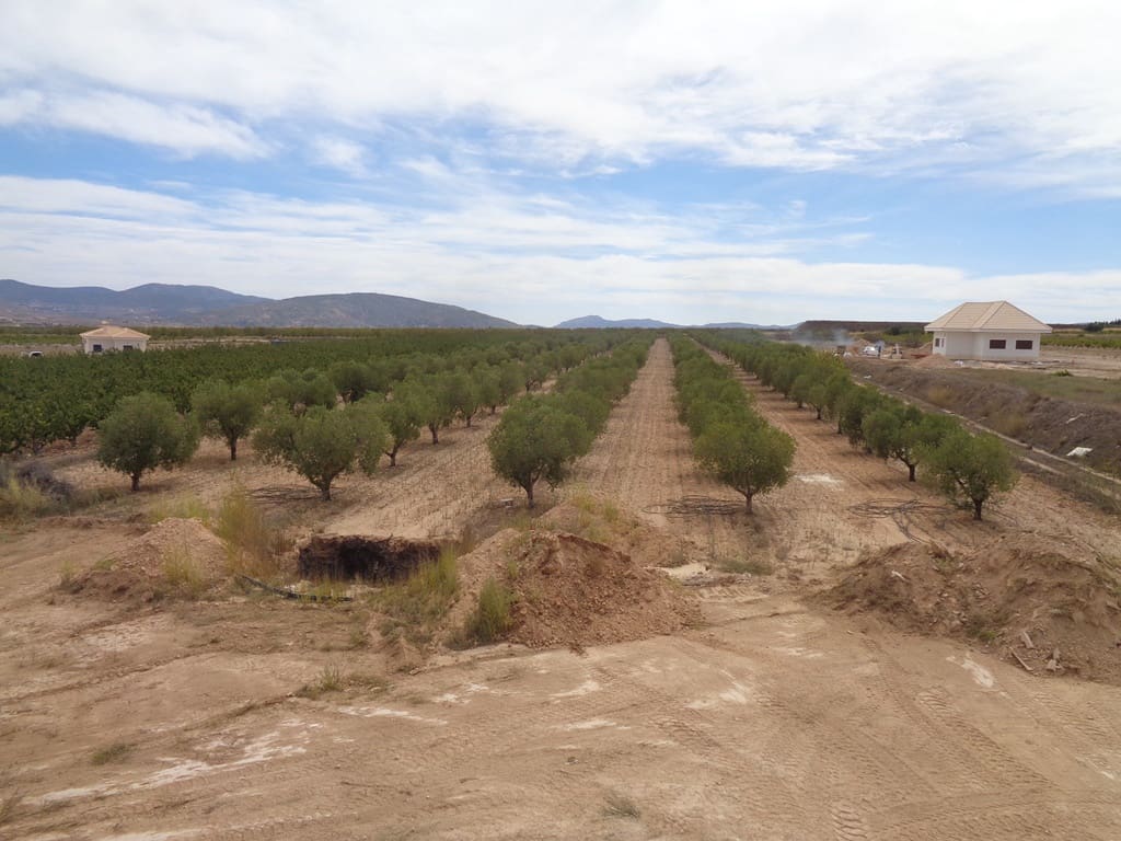 4 soveværelse Finca/Landehus til salg i Alicante by med swimmingpool - € 399.000 (Ref: 9549877)