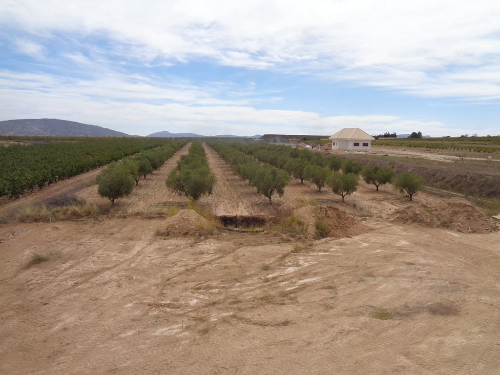 4 soveværelse Finca/Landehus til salg i Alicante by med swimmingpool - € 399.000 (Ref: 9549877)