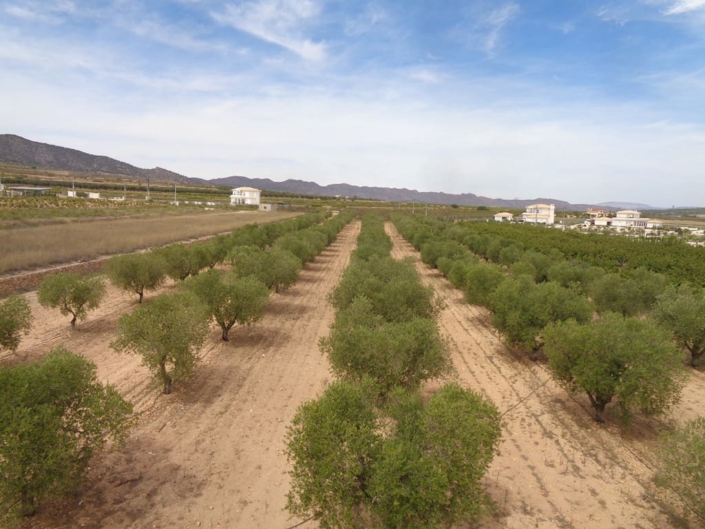 4 soveværelse Finca/Landehus til salg i Alicante by med swimmingpool - € 399.000 (Ref: 9549877)