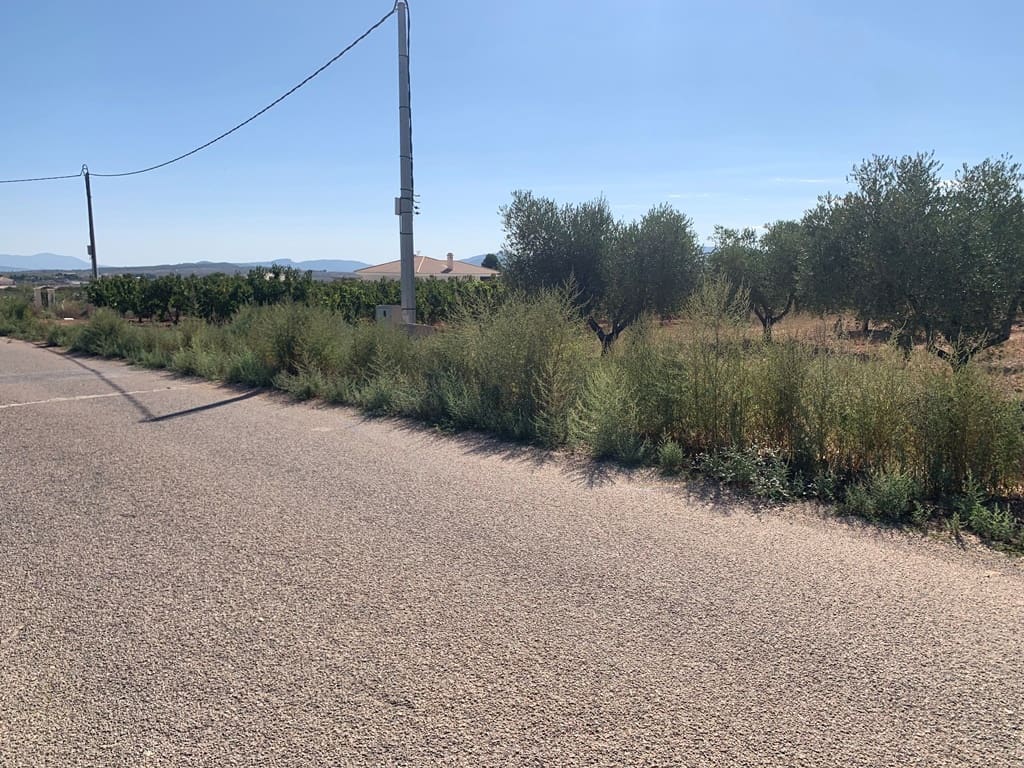 4 soveværelse Finca/Landehus til salg i Alicante by med swimmingpool - € 399.000 (Ref: 9549877)