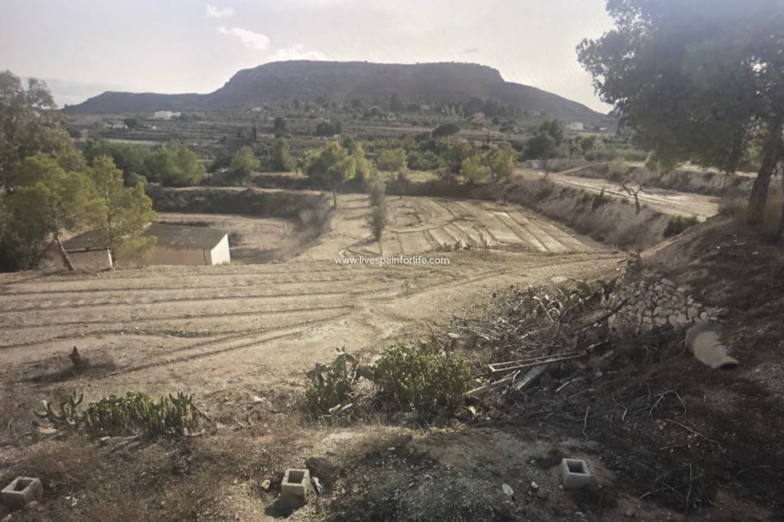 Building Plot for sale in Aspe - € 100,000 (Ref: 9549879)