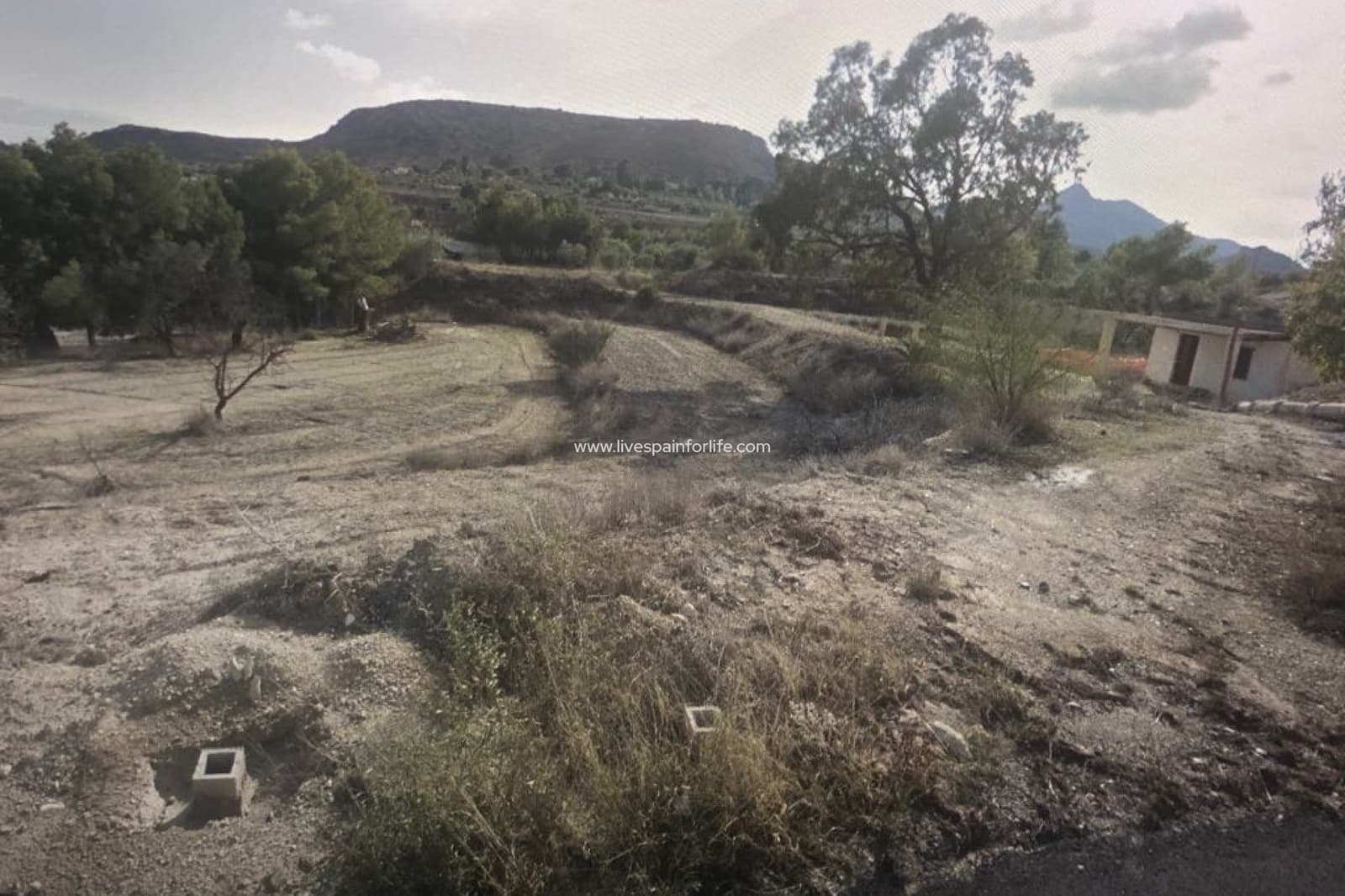 Building Plot for sale in Aspe - € 100,000 (Ref: 9549879)