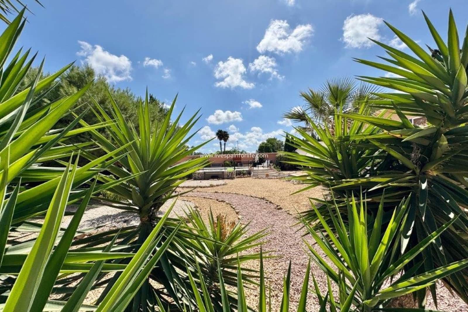 3 bedroom Finca/Country House for sale in Dolores with pool garage - € 469,000 (Ref: 9559158)