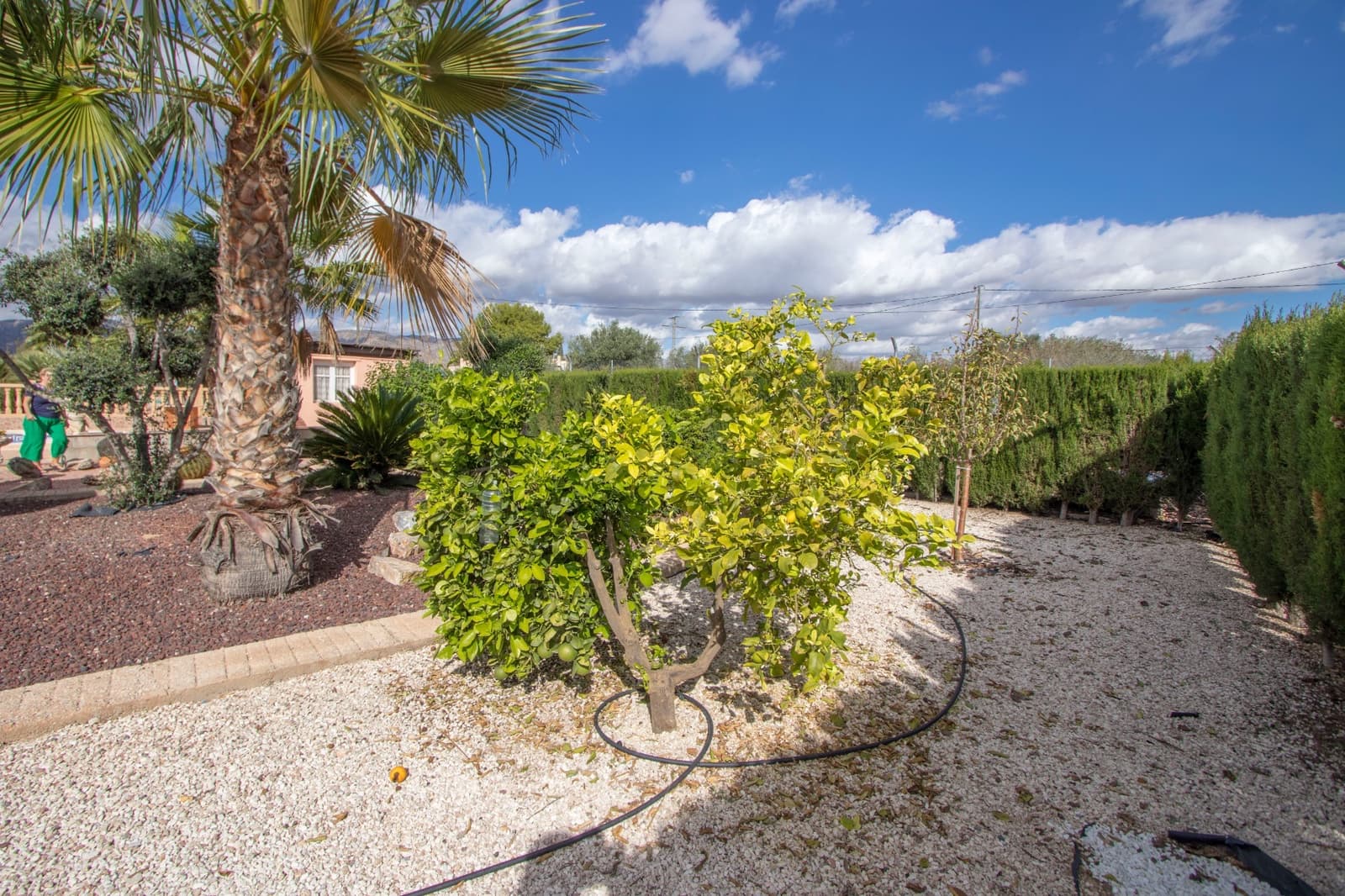 4 sovrum Finca/Hus på landet till salu i Crevillente / Crevillent med pool garage - 350 000 € (Ref: 9566816)