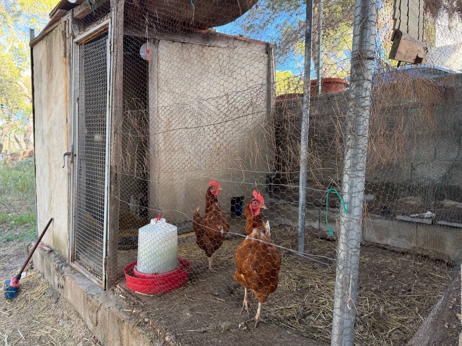 3 soverom Finca/Herregård til salgs i La Romana med svømmebasseng garasje - € 280 000 (Ref: 9569658)