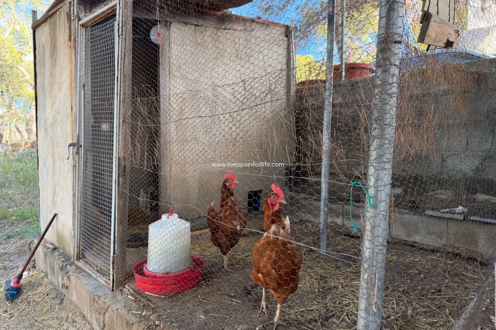 3 bedroom Finca/Country House for sale in La Romana with pool garage - € 280,000 (Ref: 9569658)