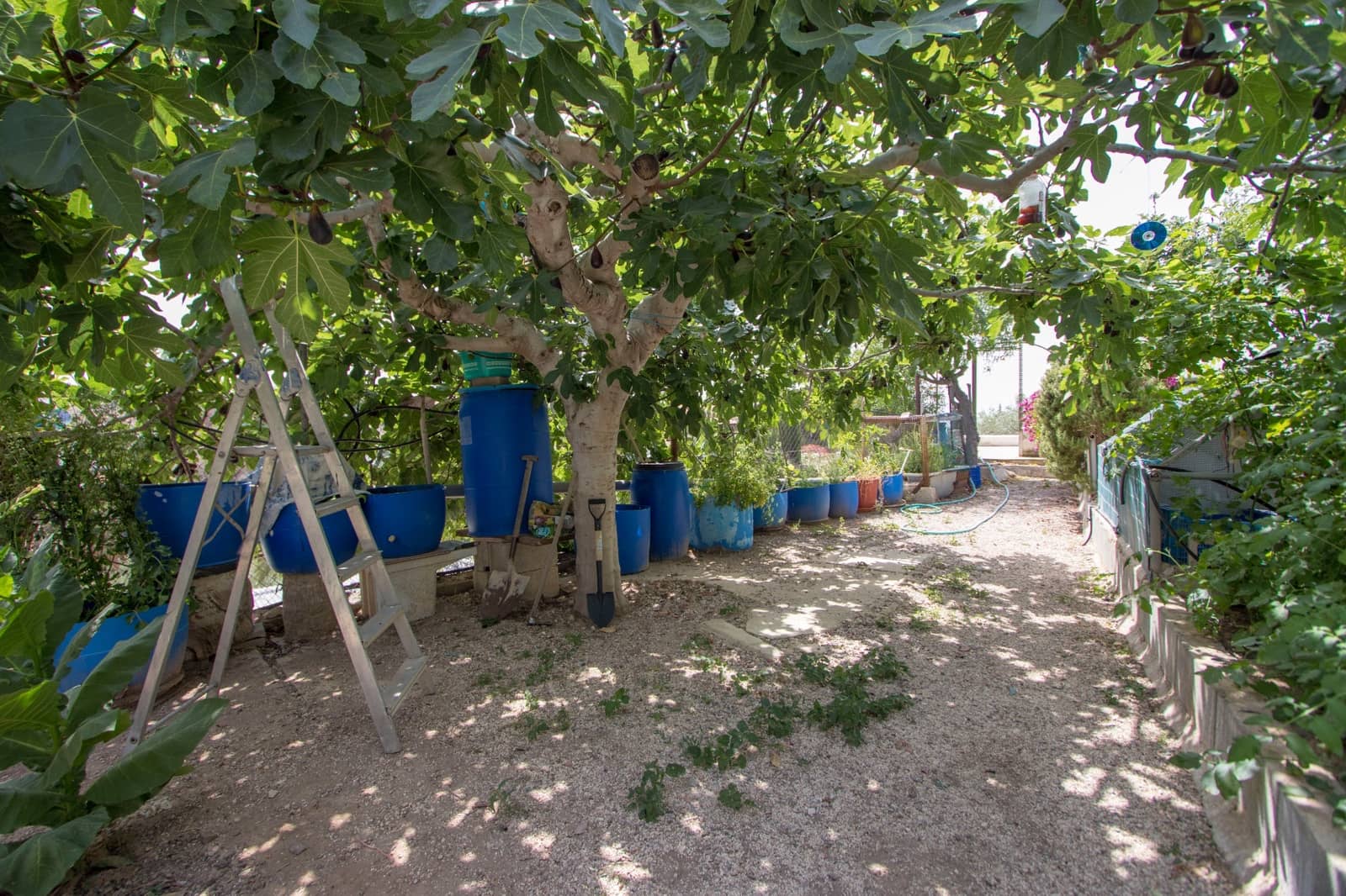 3 soveværelse Finca/Landehus til salg i Albatera med swimmingpool garage - € 260.000 (Ref: 9572090)