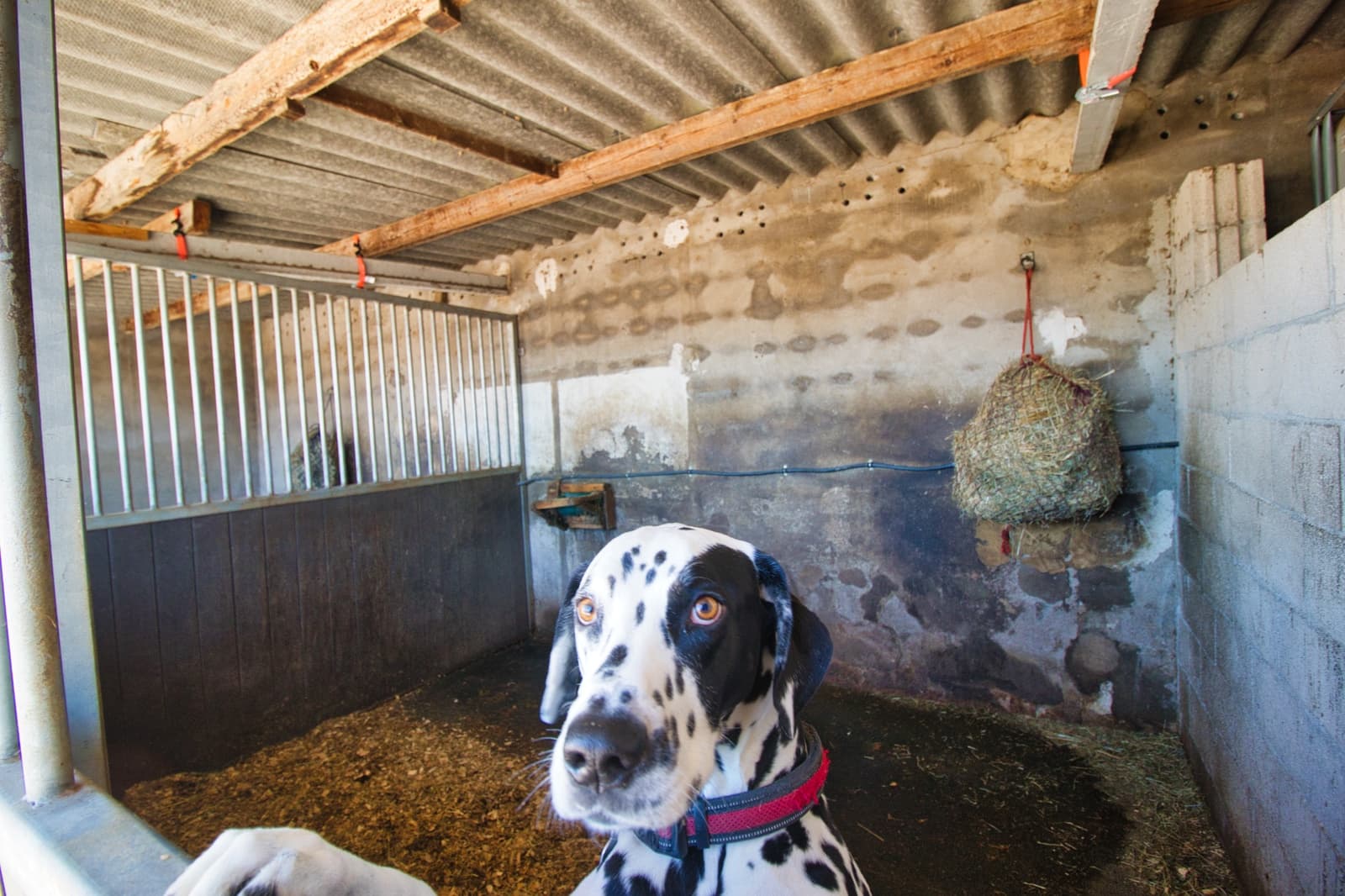 2 soverom Bedrift til salgs i Monovar / Monover med svømmebasseng garasje - € 200 000 (Ref: 9584955)