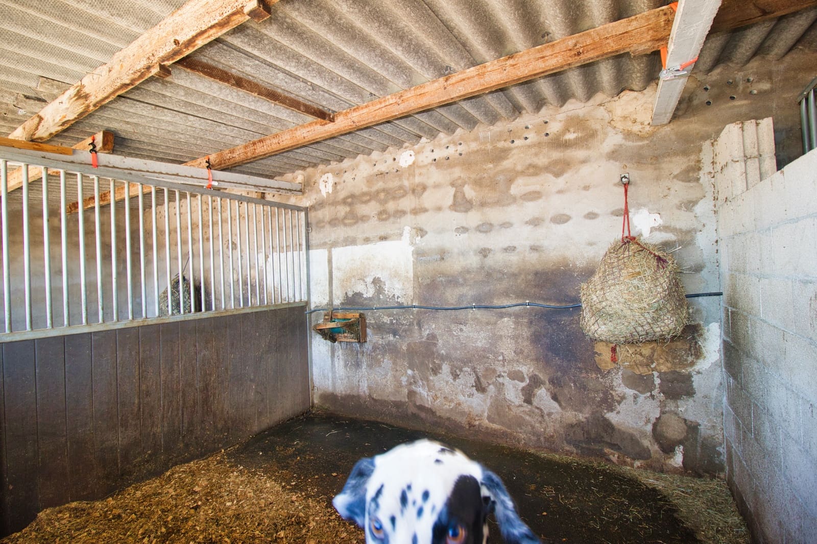 2 soverom Bedrift til salgs i Monovar / Monover med svømmebasseng garasje - € 200 000 (Ref: 9584955)