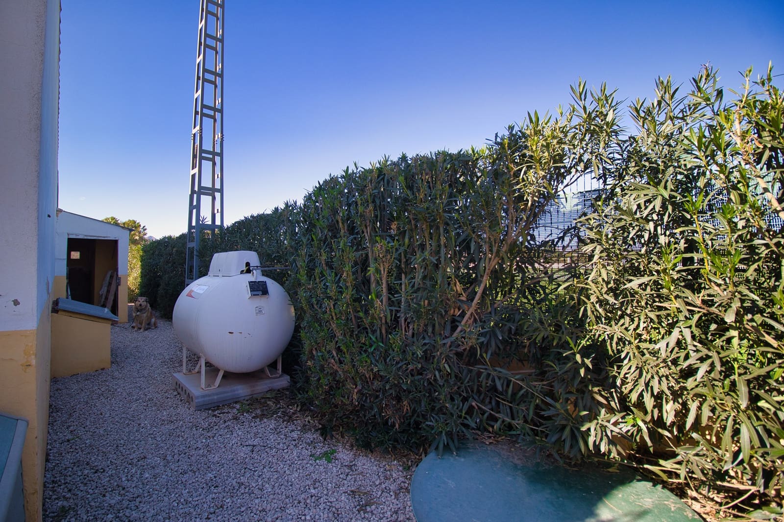 Finca/Casa Rural de 4 habitaciones en Dolores en venta con piscina - 385.000 € (Ref: 9588111)